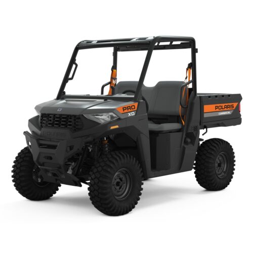 2-6 Seat UTV, 2WD or 4WD, Gas